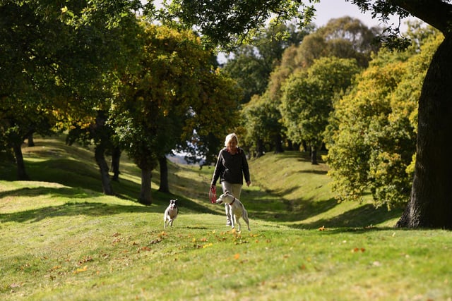 Bonnybridge. Seabegs Wood on the Antonine Wall.