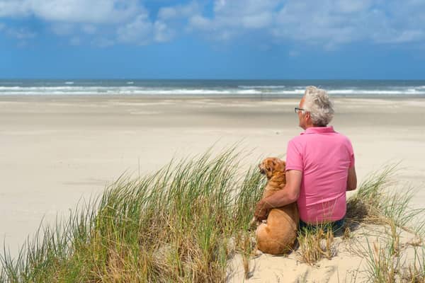 Certain breeds of dog make great companions for the more elderly owner.