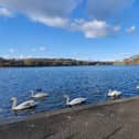 The meeting over the loch's future will be held in Provost Lawrie Hall from 6.30pm to 8.30pm on Monday, after an FOI request resulted in Lorna's office finally receiving the report.