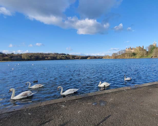 The meeting over the loch's future will be held in Provost Lawrie Hall from 6.30pm to 8.30pm on Monday, after an FOI request resulted in Lorna's office finally receiving the report.