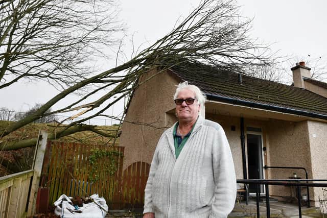 Although part of the tree has been removed, Jim Jarvie says there is still lots of debris around his Laurieston home. Pic: Michael Gillen