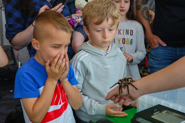 In pictures: Everyone enjoying Denny Library Community Day