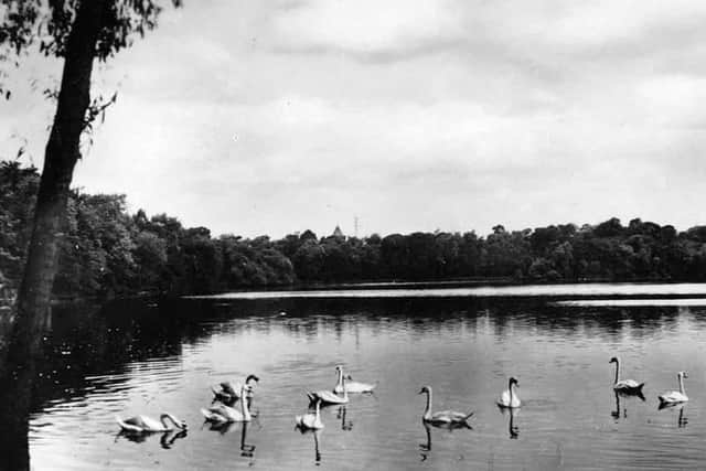 The dams have been left to form a tranquil sanctuary for wildlife.