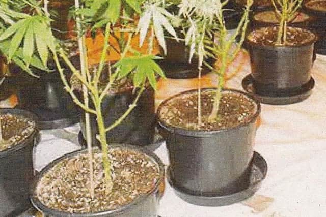 Moncur had been growing cannabis at this Denny home