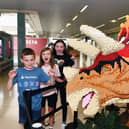 The iconic brick dino trail around Falkirk ends on Sunday - so you'd better be quick if you're still to spot them.  (Pic: Michael Gillen)