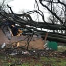 Sub station that supplies power to Kinnaird was hit by a fallen tree. Pic: Falkirk Herald