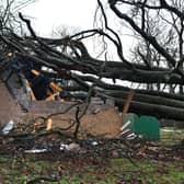 Sub station that supplies power to Kinnaird was hit by a fallen tree. Pic: Falkirk Herald