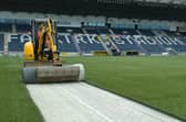 Replacing Falkirk's plastic pitch could be on the cards if the Bairns managed a double promotion (Photo: Michael Gillen)