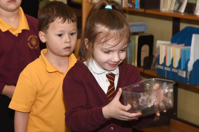 Pupils learned about the physics of sound.