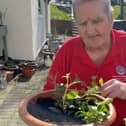 Eddie Newton planting tubs at Strathcarron Hospice. Pic: Contributed