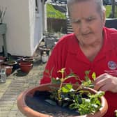 Eddie Newton planting tubs at Strathcarron Hospice. Pic: Contributed