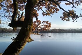 Police are investigating after the body of a fisherman was discovered in Banton Loch