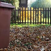 West Lothian Council is now considering a £50 fee for the collection of brown bins in the county.