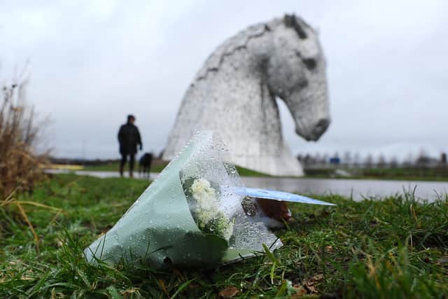 A dog has died following an incident near The Kelpies, Falkirk, on Friday in which the animal plunged through a crack in the ice on the Forth and Clyde Canal. Picture: Michael Gillen.