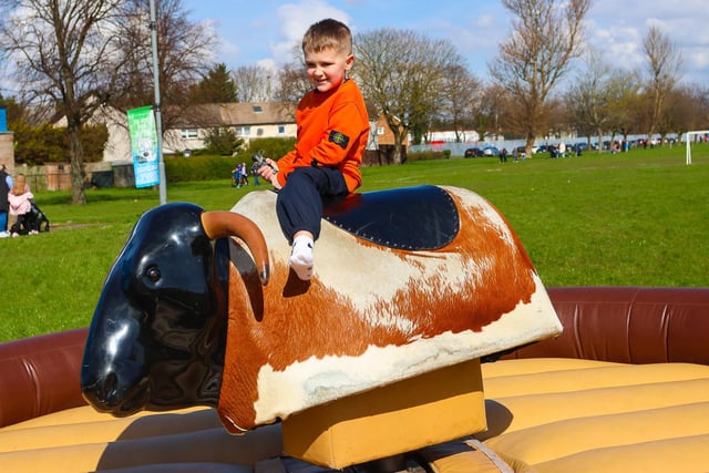 Ride 'em cowboy - a youngster channels his inner Clint Eastwood at Inchyra Park Easter Egg Hunt