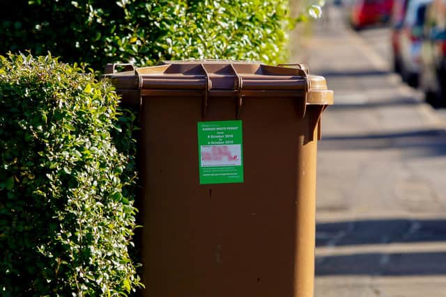 Options on the table include charging £20 a year for brown bin collections
