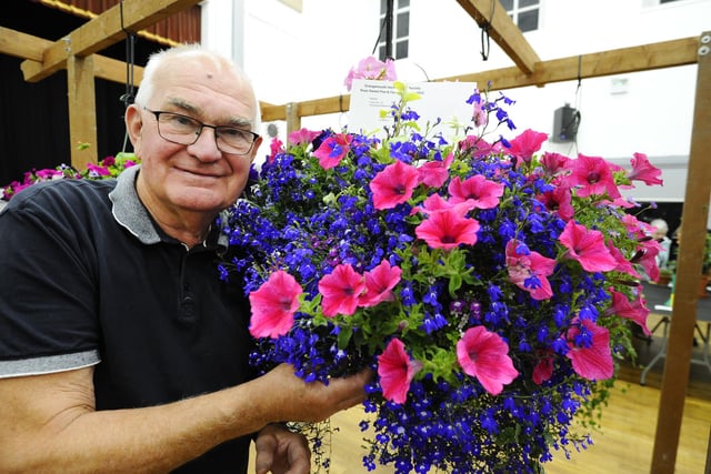 Sandy Innes with his entry for Class 83 - mixed hanging basket, featuring surfinia and labelliia.