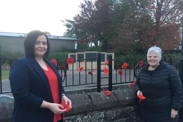 Tamsin Ferrier and Jane MacLean are urging people in Denny are being asked to knit and create poppies to mark this year's Remembrance Day