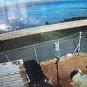 CCTV captured Graham Johnston in the area of Haney's Way. Pic: Contributed