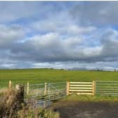 Looking towards the site in Slamannan that will be used for the animal care facility. Pic: Contributed