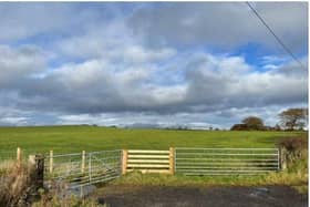 Looking towards the site in Slamannan that will be used for the animal care facility. Pic: Contributed