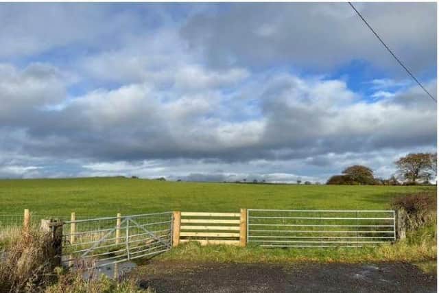 Looking towards the site in Slamannan that will be used for the animal care facility. Pic: Contributed
