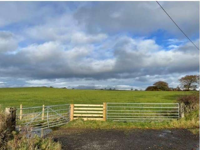 Looking towards the site in Slamannan that will be used for the animal care facility. Pic: Contributed