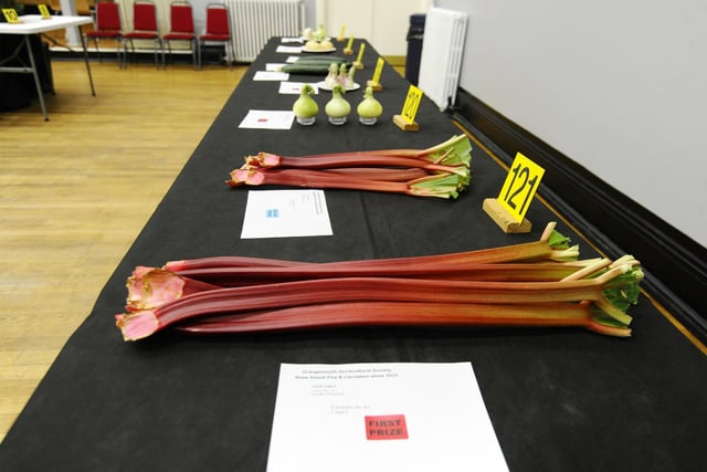 There were classes for vegetables in the show.  These are the winning rhubarb stalks grown by Sandy Innes.