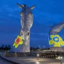 The Kelpie  supported Marie Curie's Great Daffodil Appeal by 'wearing' the charity's iconic daffodil pin badge last night. Pic: Peter Sandground