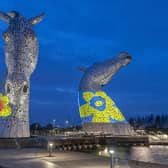 The Kelpie  supported Marie Curie's Great Daffodil Appeal by 'wearing' the charity's iconic daffodil pin badge last night. Pic: Peter Sandground