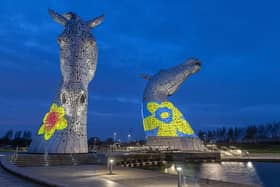 The Kelpie  supported Marie Curie's Great Daffodil Appeal by 'wearing' the charity's iconic daffodil pin badge last night. Pic: Peter Sandground