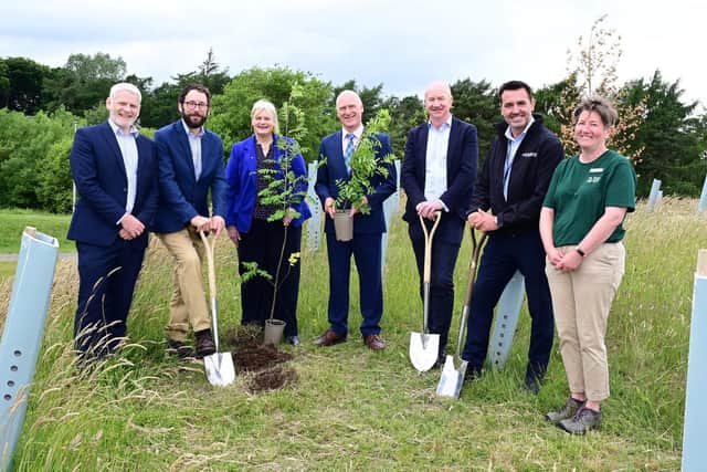 Minister for Local Government Empowerment and Planning, Joe FitzPatrick MSP, centre, helps to plant the final trees to complete the transformation of Lionthorn Bing. Pic: Falkirk Council