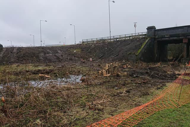 Falkirk Council has said trees will be replaced on the land at the Helix Park