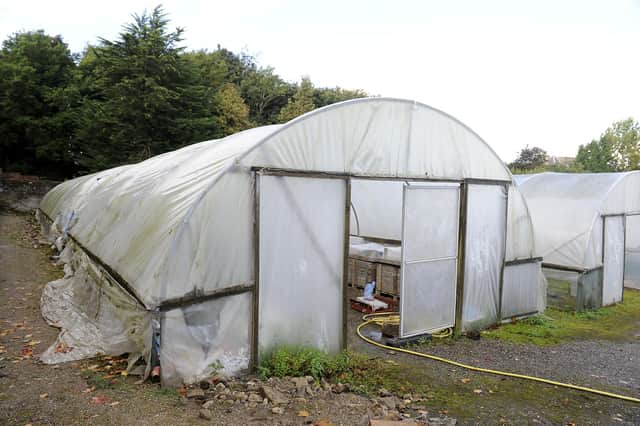 The walled garden has previously been hit by vandals and is in need of restoration.