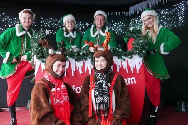 Get in the festive spirit with Conifox