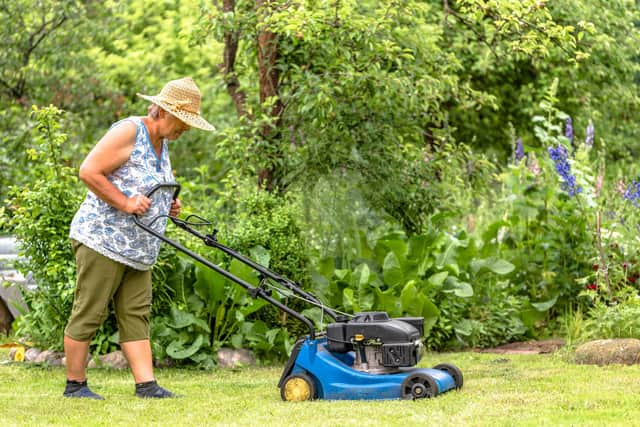 An overgrown lawn is an indicator that your home is empty (photo: Adobe)