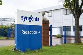 Syngenta has announced it is now consulting with staff about ceasing operations in Grangemouth (Picture: Michael Gillen)