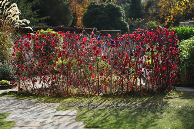 The Cyrenians' amazing Poppy Wall in Dollar Park's walled garden