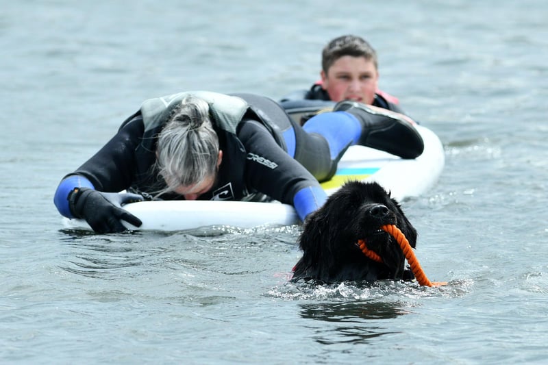 Holly pulls a swimmer to shore during a demonstration at the Helix Water Safety Open Day
(Picture: Michael Gillen, National World)