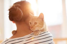 Following a few simple tips could lead to you building a deeper bond with your cat.