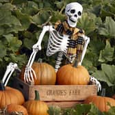 There will be plenty of surprises in store this month at Craigies Farm.