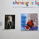 The Shining a Light exhibition is now on at Callendar House's Park Gallery and runs until April.