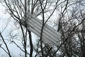 Roofs, sheds, cars, fences and trees took the brunt of the damage as Storm Isha took its toll on the area last night.