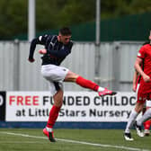Michael Ruth lashes home Falkirk's equaliser. Picture by Michael Gillen