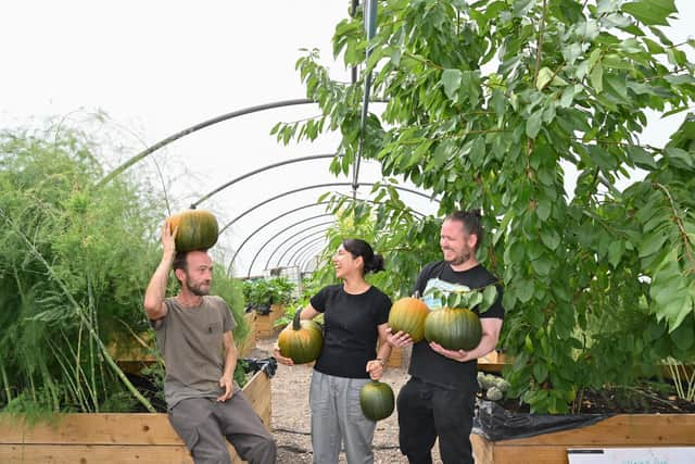 Sustainable Thinking Scotland: Steve McQueen, Avi Kharel and Sean Kerr inside one of the poly tunnels on site on the grounds of Kinneil House, Bo’ness