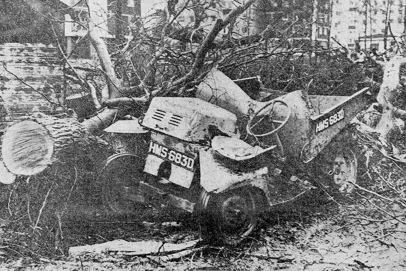 A truck crushed by a tree.