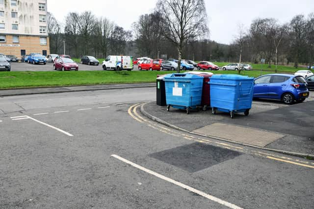 The council plan to erect fencing to keep the bins from rolling on to the road. Pic: Michael Gillen