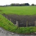 The Carronshore farm land where developer Taylor Wimpey wants to build 150 homes