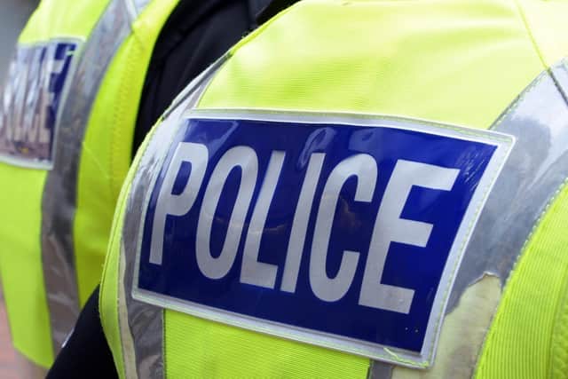 McAlpine bit a police officer on the arm during the incident in Langlees
(Picture: Police Scotland)