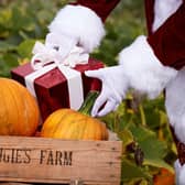 Help Santa save Christmas during an adventure at Craigie's Farm.